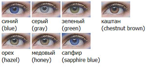 цветные контактные линзы Acuvue 2 Opaques (2 шт.)
