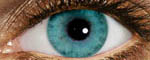 оттеночные линзы Focus SoftColors monthly (6шт.)