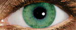 оттеночные линзы Focus SoftColors monthly (6шт.)
