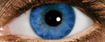 оттеночные линзы Focus SoftColors monthly (6шт.)